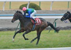 2013 京都記念　トーセンラー