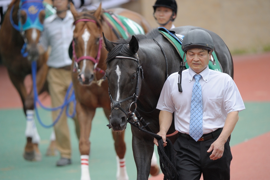 2012 プロキオンステークス　ファリダット