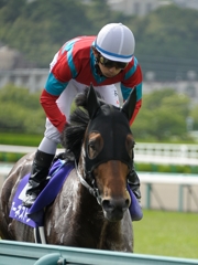 佐藤哲三　アーネストリー
