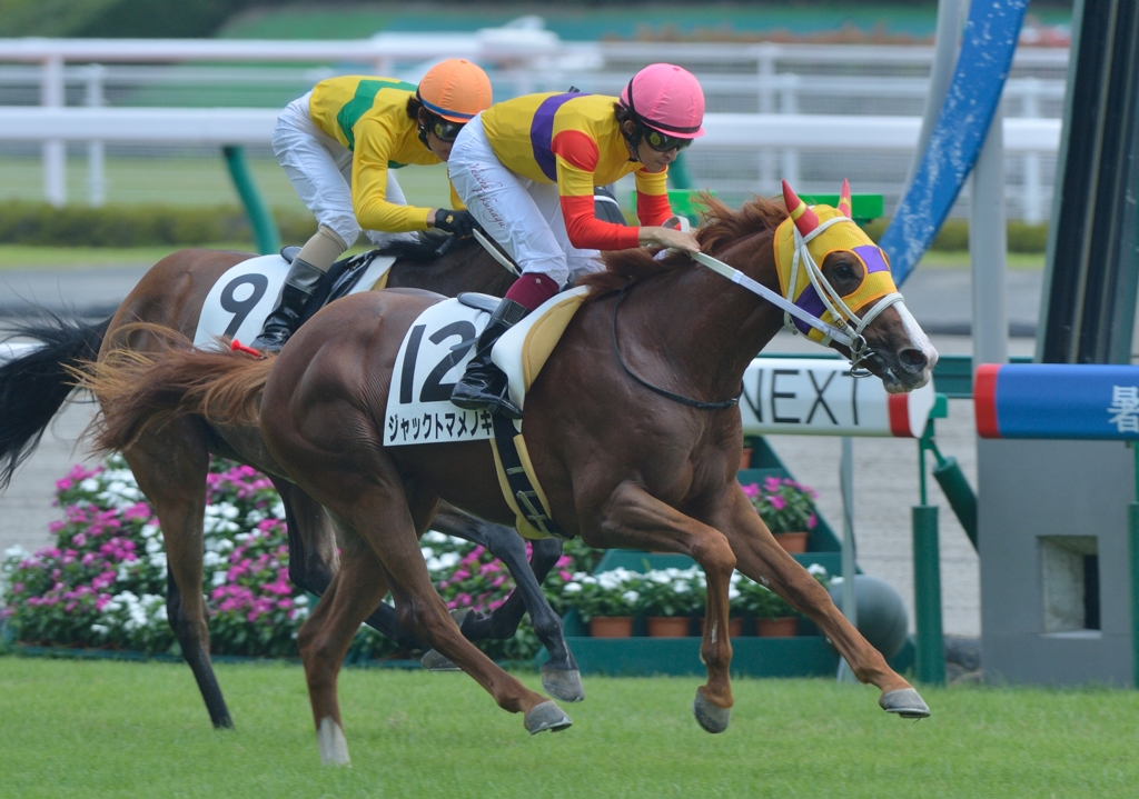 2013.07.07　メイクデビュー　ジャックトマメノキ