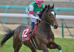 2013　弥生賞　エピファネイア