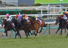 2013 弥生賞　カミノタサハラ