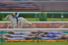 2014.04.20 未勝利　マーブルケーキ