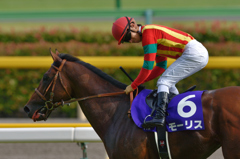 2015 安田記念 モーリス