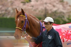 2015 桜花賞 レッツゴードンキ