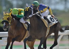 笠松競馬