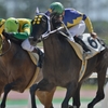 笠松競馬