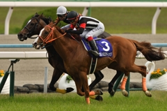 2016 天皇賞(春) キタサンブラック