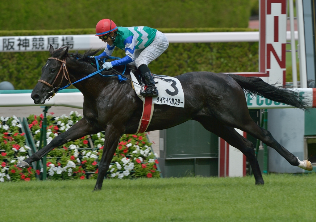 メイクデビュー　メイケイペガスター