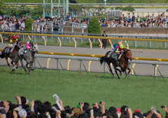 2012　東京優駿　ディープブリランテ