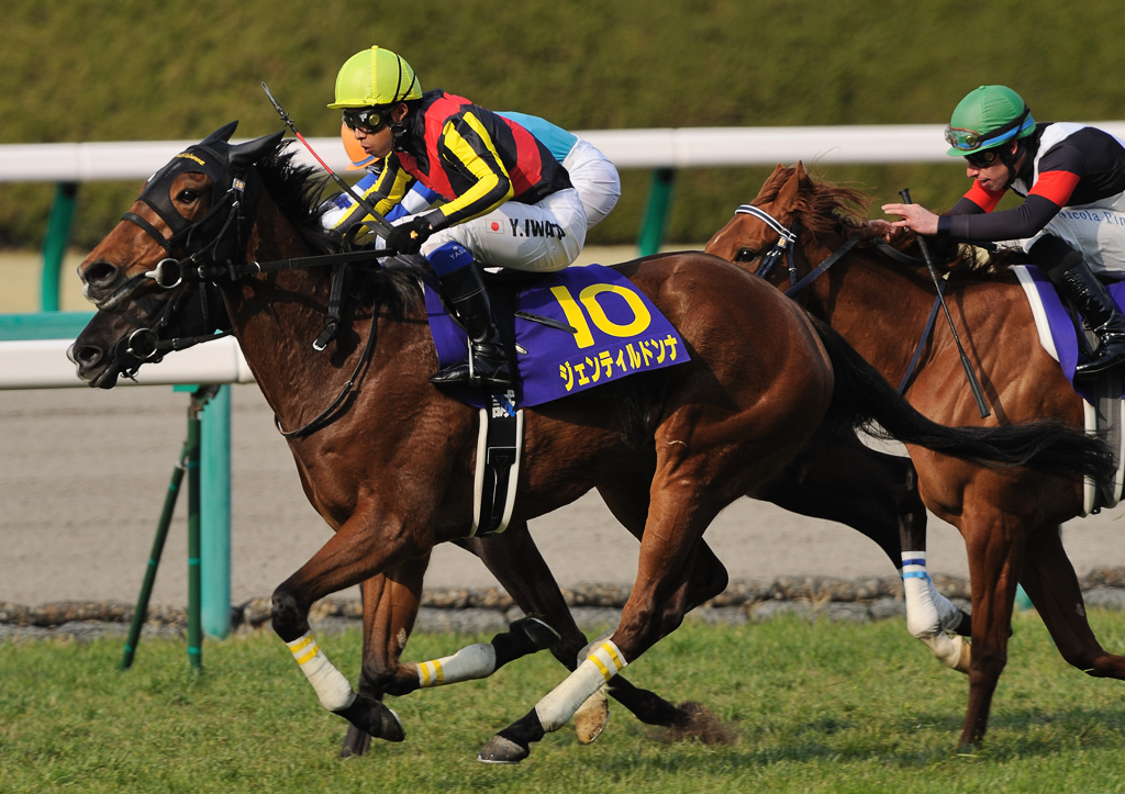 2012桜花賞　ジェンティルドンナ