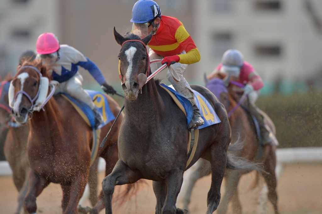名古屋競馬　アメジストオープン　ノゾミダイヤ