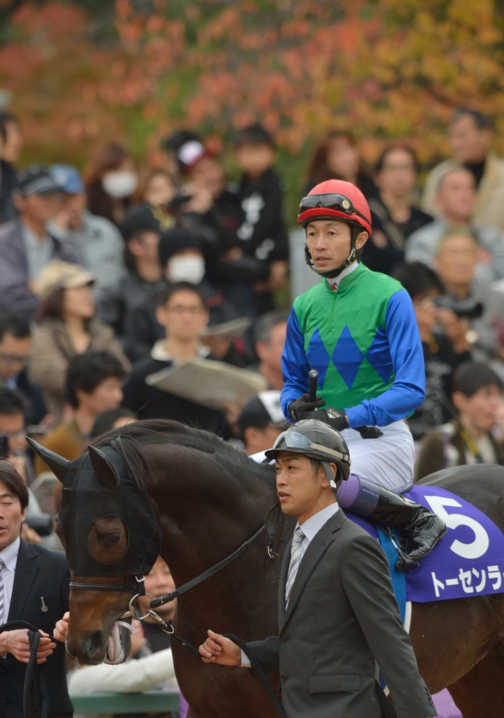 2013　マイルチャンピオンシップ　トーセンラー