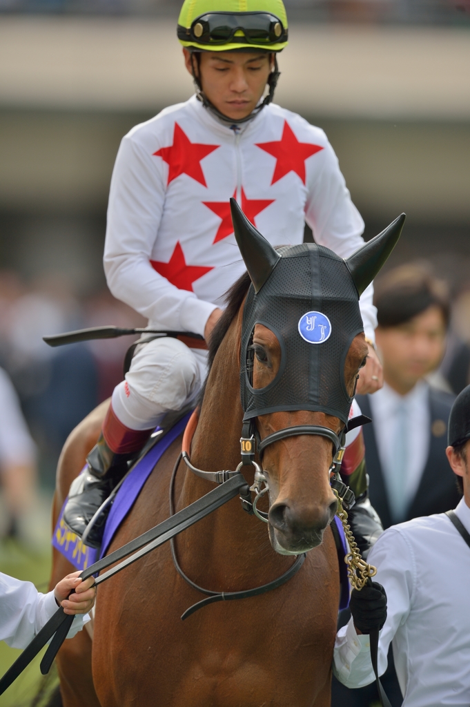 2015 オークス ミッキークイーン