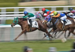 2013,3,17 3歳500万　ワールンガ