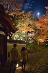 京都　高台寺