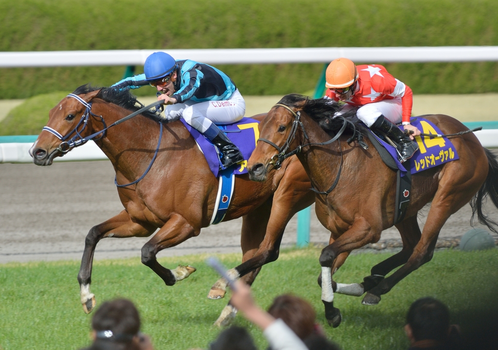 2013　桜花賞　アユサン