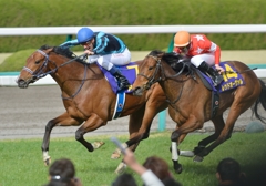 2013　桜花賞　アユサン