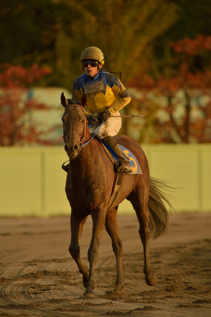 2012　東海菊花賞