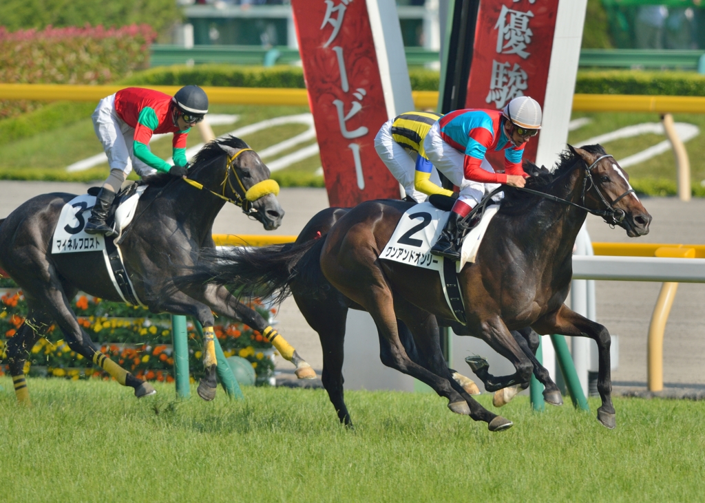 2014　東京優駿　ワンアンドオンリー
