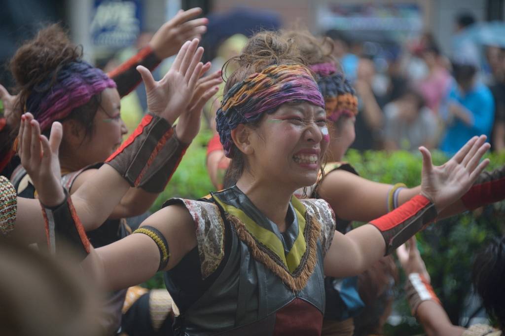 ど祭り 2013