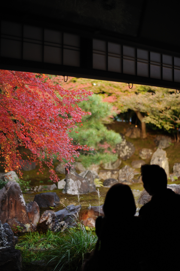 京都 圓徳院