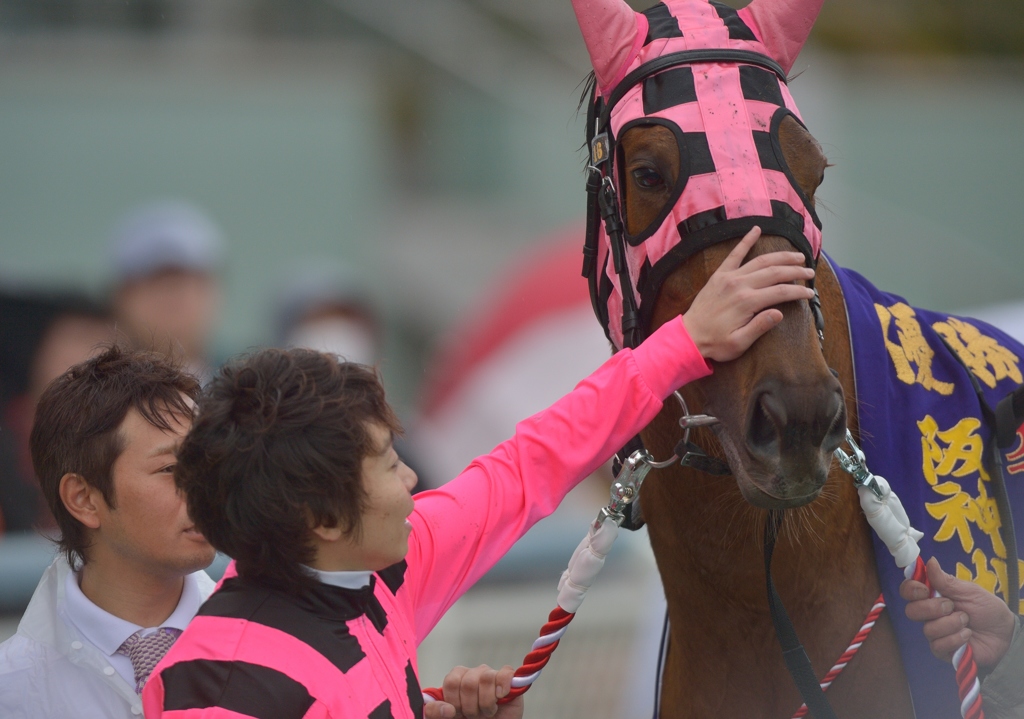 2013 阪神牝馬S サウンドオブハート