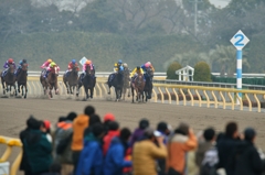 2015 フェブラリーS コパノリッキー