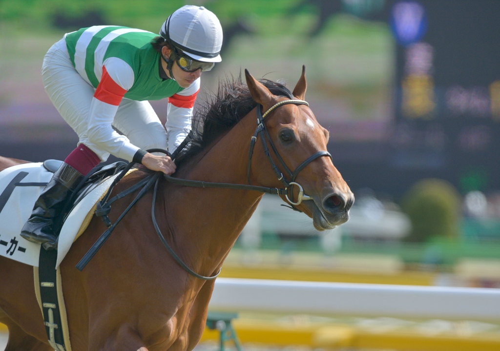 2013.2.17 メイクデビュー　コメットシーカー