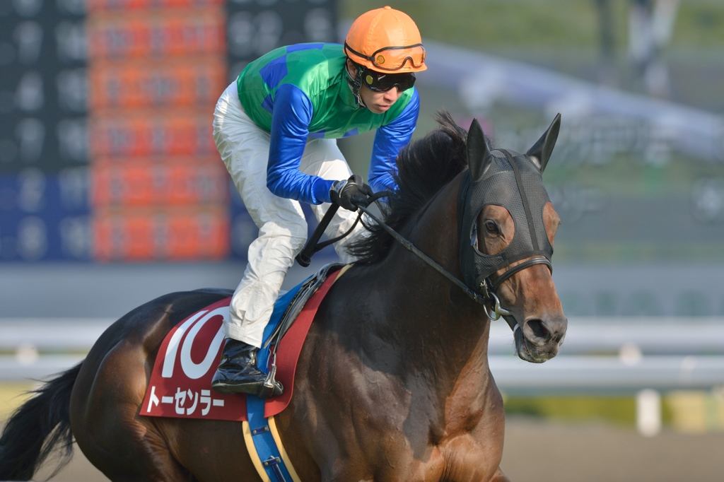 2014 京都記念　トーセンラー