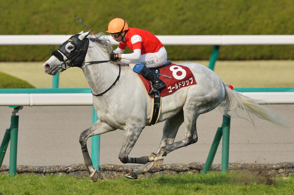 2015 阪神大賞典 ゴールドシップ