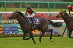 2015 皐月賞 ドゥラメンテ