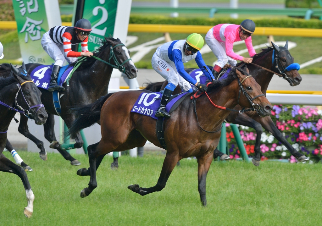 2012 安田記念 ロードカナロア