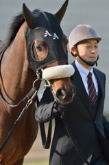 2014 京都記念　デスペラード