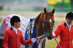 2015 フェブラリーS コパノリッキー