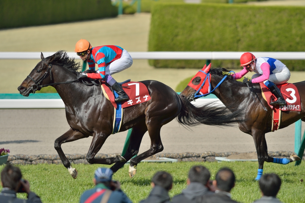 2014　大阪杯　キズナ