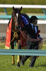 2017 大阪杯 キタサンブラック