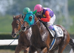 笠松競馬　コパノサムタイム