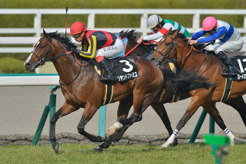 2014 但馬S　リヤンドファミユ