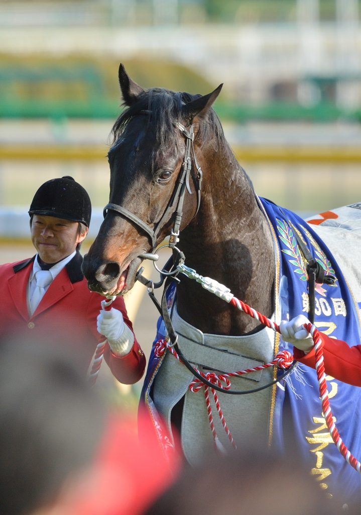 2013　フェブラリーS　グレープブランデー