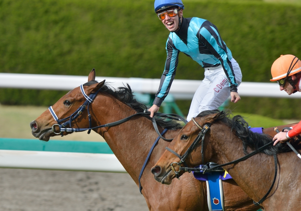 2013　桜花賞　アユサン