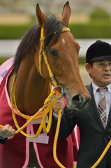 2014　桜花賞　ハープスター