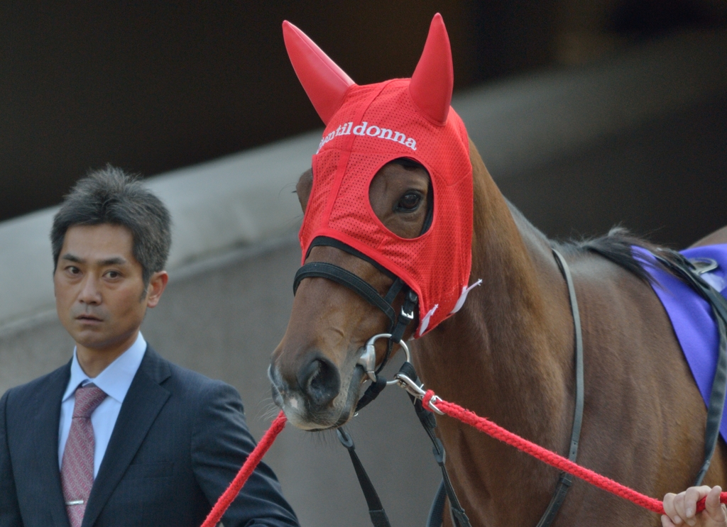 2013 ジャパンカップ　ジェンティルドンナ