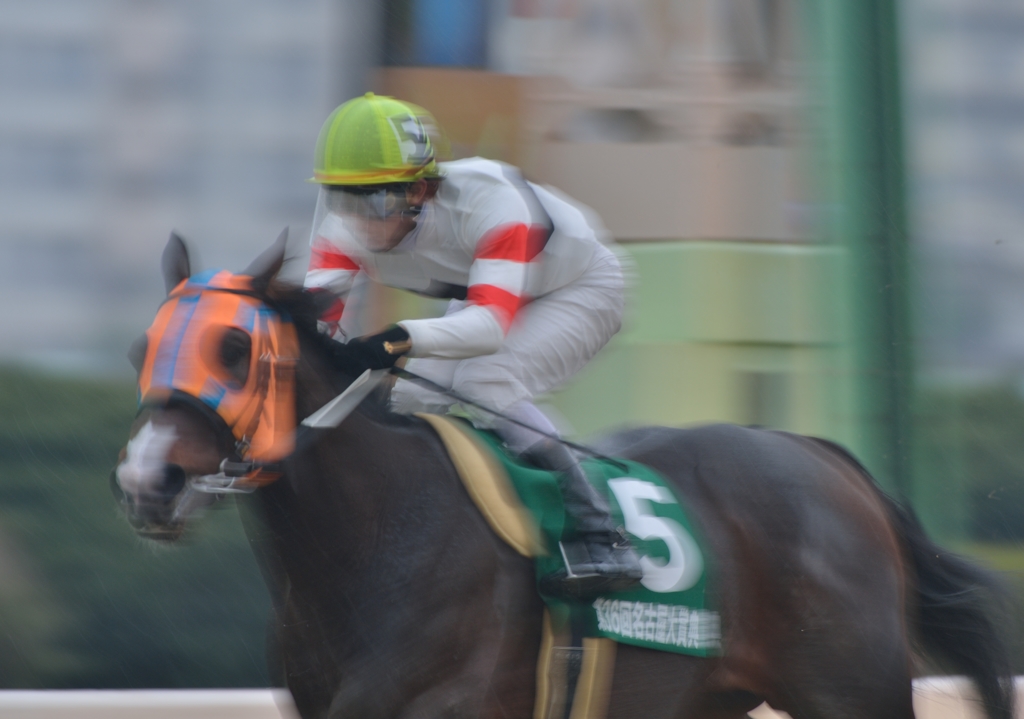 2013　名古屋大賞典　ホッコータルマエ