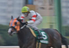 2013　名古屋大賞典　ホッコータルマエ