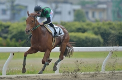 名古屋競馬　マイネアバンガルド