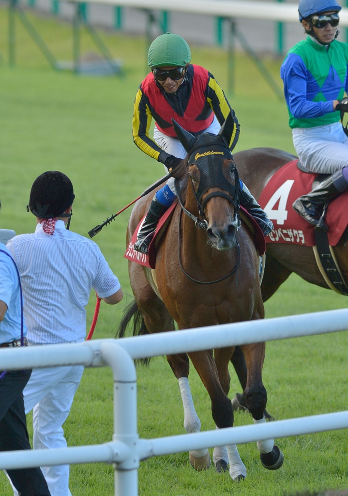 2012ローズS ジェンティルドンナ