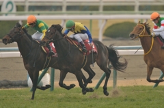 2015 京都記念　ラブリーデイ