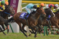 2014 天皇賞 スピルバーグ
