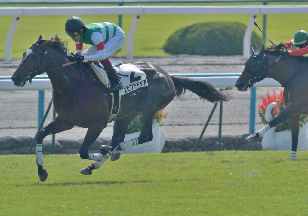 121021  メイクデビュー　エピファネイア